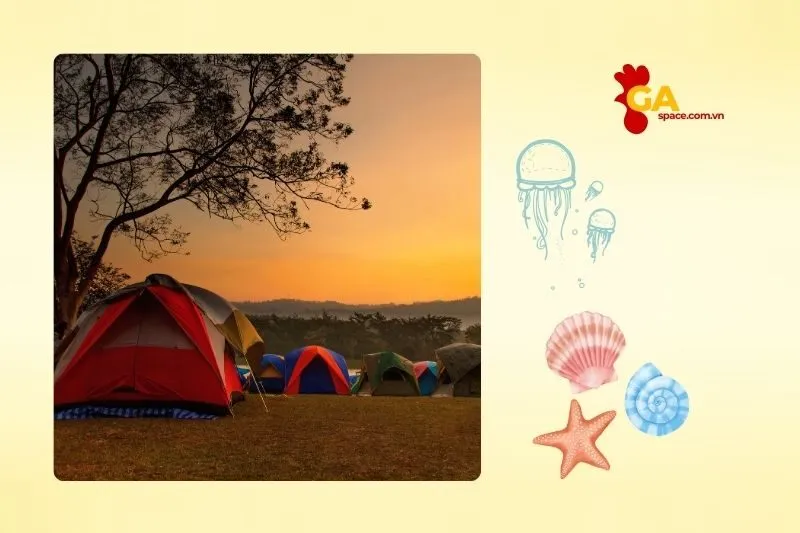 Các hoạt động trải nghiệm thiên nhiên tại Quảng Ngãi