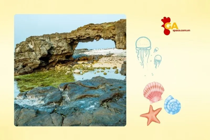 Những điểm du lịch nổi bật không thể bỏ qua tại Quảng Ngãi