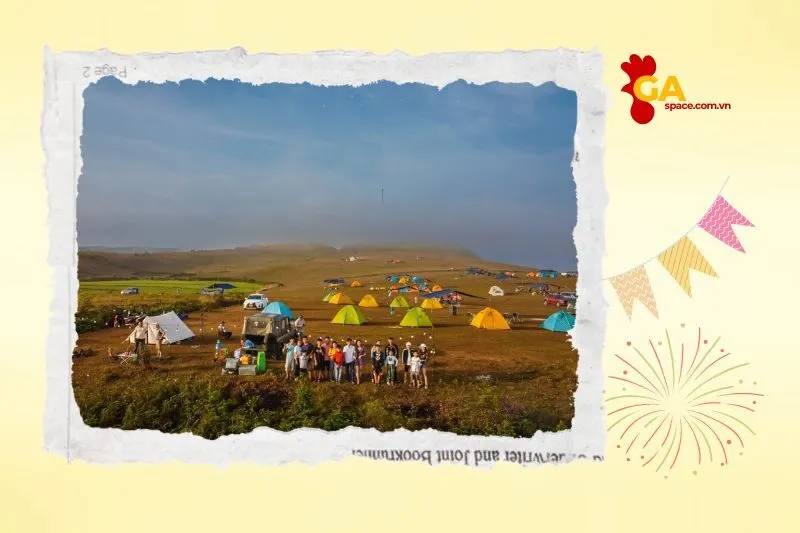 Thảo Nguyên Bùi Hui