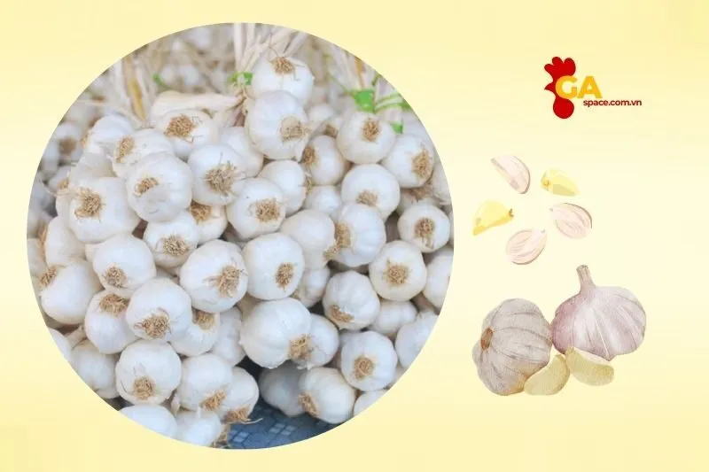 Mua sắm và quà lưu niệm đặc sản từ Quảng Ngãi