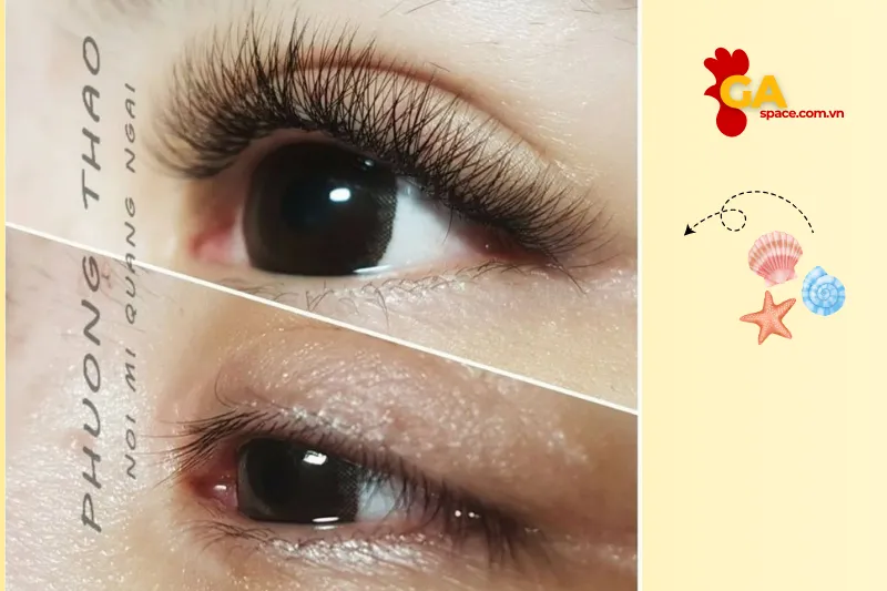 Phương Thảo Nối Mi