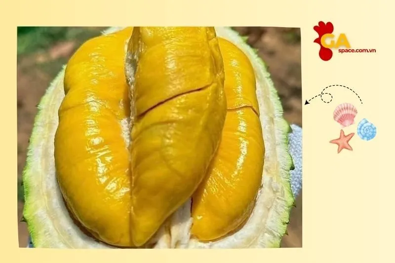 Thực Phẩm Sạch DeliFood