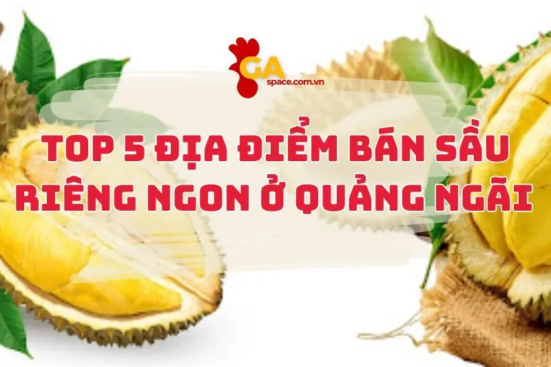 Top 5 Địa Điểm Bán Sầu Riêng ngon ở Quảng Ngãi