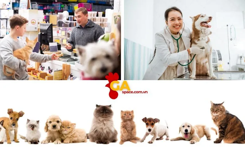 Top 5 địa điểm chăm sóc thú cưng Quảng Ngãi