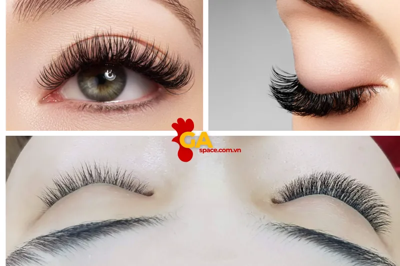 Top 9 Địa Điểm Nối Mi Quảng Ngãi 