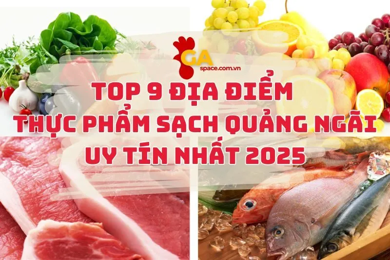Top 9 Địa Điểm Thực Phẩm Sạch Quảng Ngãi Uy Tín Nhất 2025