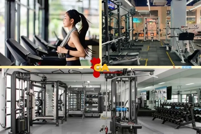 TP Fitness