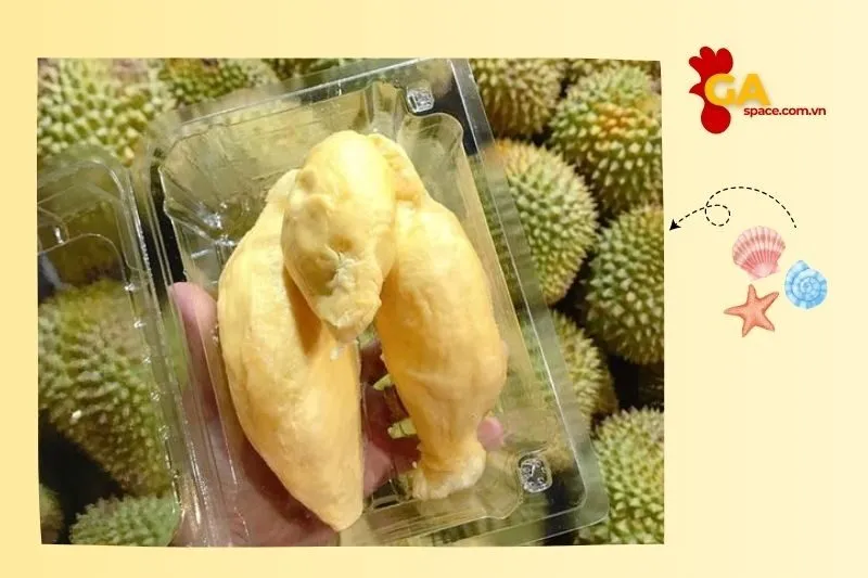 Trái Cây Hải Hạnh