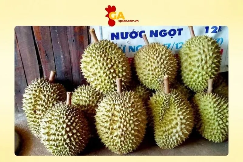 Xuân Vy Võ