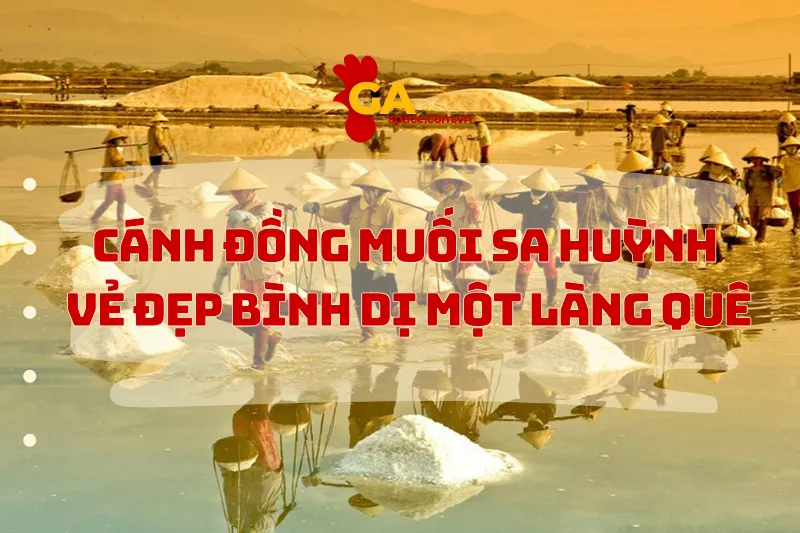 Cánh đồng muối Sa Huỳnh vẻ đẹp bình dị một làng quê