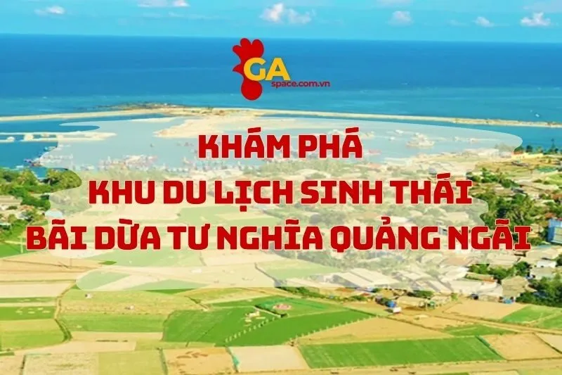 Khám Phá Bãi Dừa Tư Nghĩa Quảng Ngãi