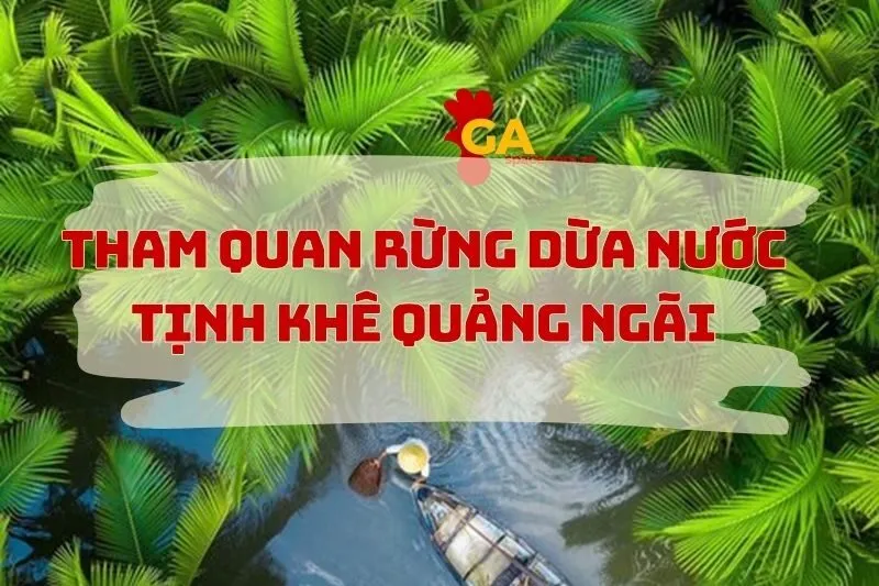 Khám Phá Rừng Dừa Nước Tịnh Khê Quảng Ngãi