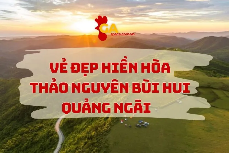 Ngắm thảo nguyên mơ mộng giữa đại ngàn- Thảo Nguyên Bùi Hui Quảng Ngãi